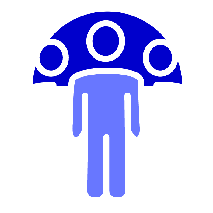 organisation cci lyon