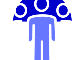 organisation cci lyon
